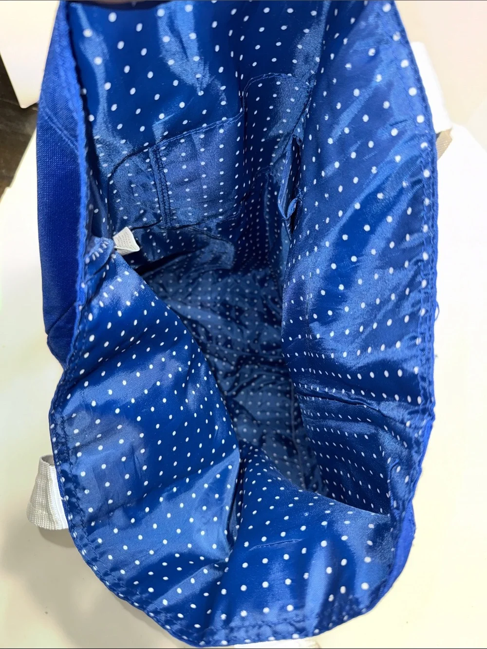 Bright Blue Striped Canvas Tote with Contrasting Trim